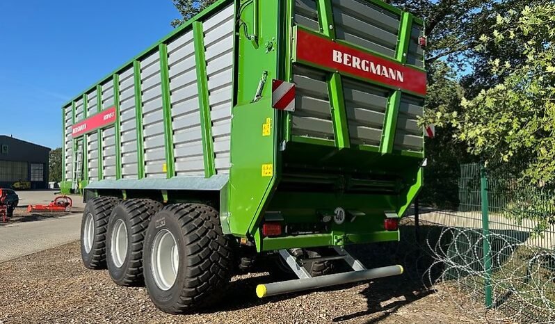 
								Bergmann HTW 65S full									