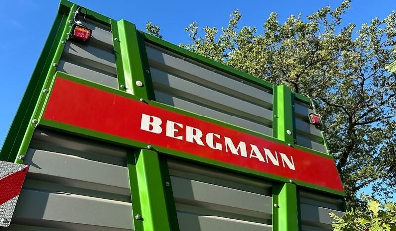 
								Bergmann HTW 65S full									